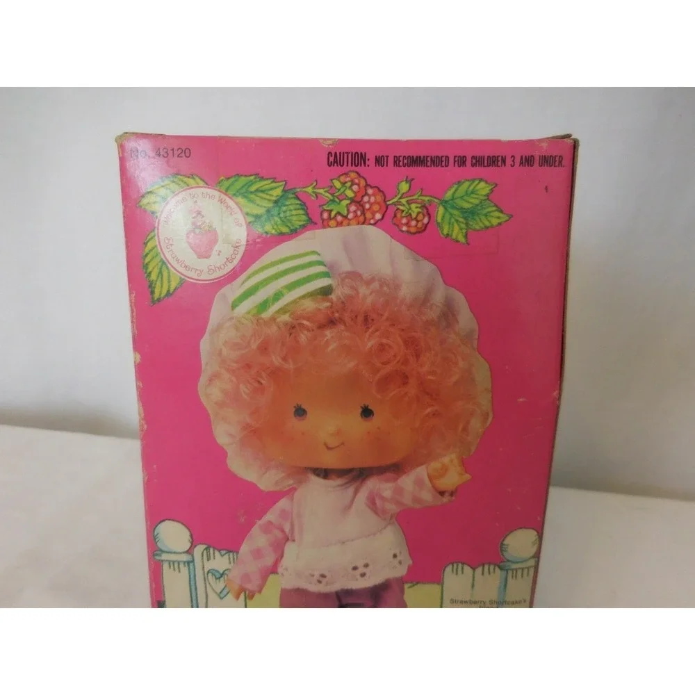 Strawberry Shortcake Raspberry Tart with Rhubarb No‎ 43120 Vintage Kenner NRFB